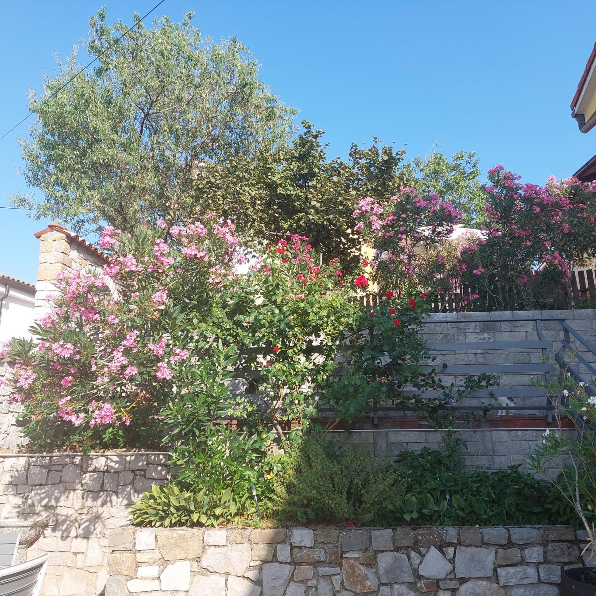 Apartma Nika Pobegi Bagian luar foto