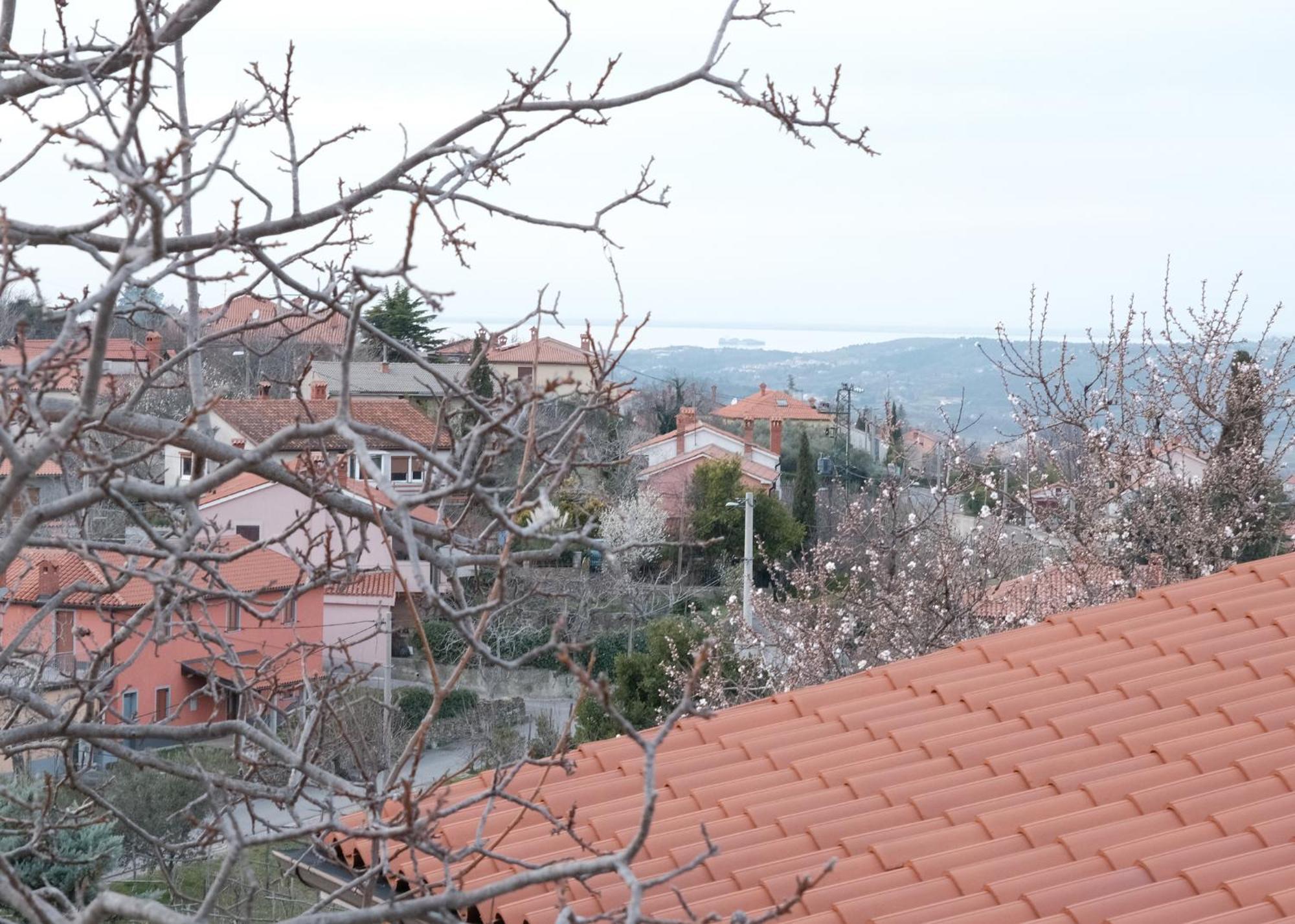 Apartma Nika Pobegi Bagian luar foto